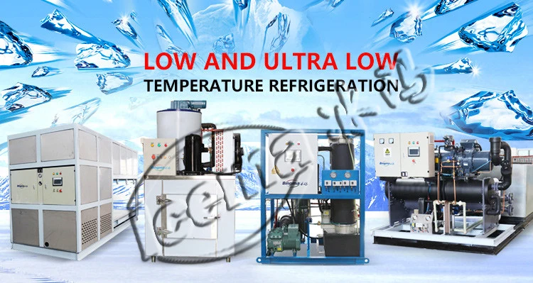 Electric Direct Cooling Ice Block Machine for Making 1000kg Ice Block Per Day